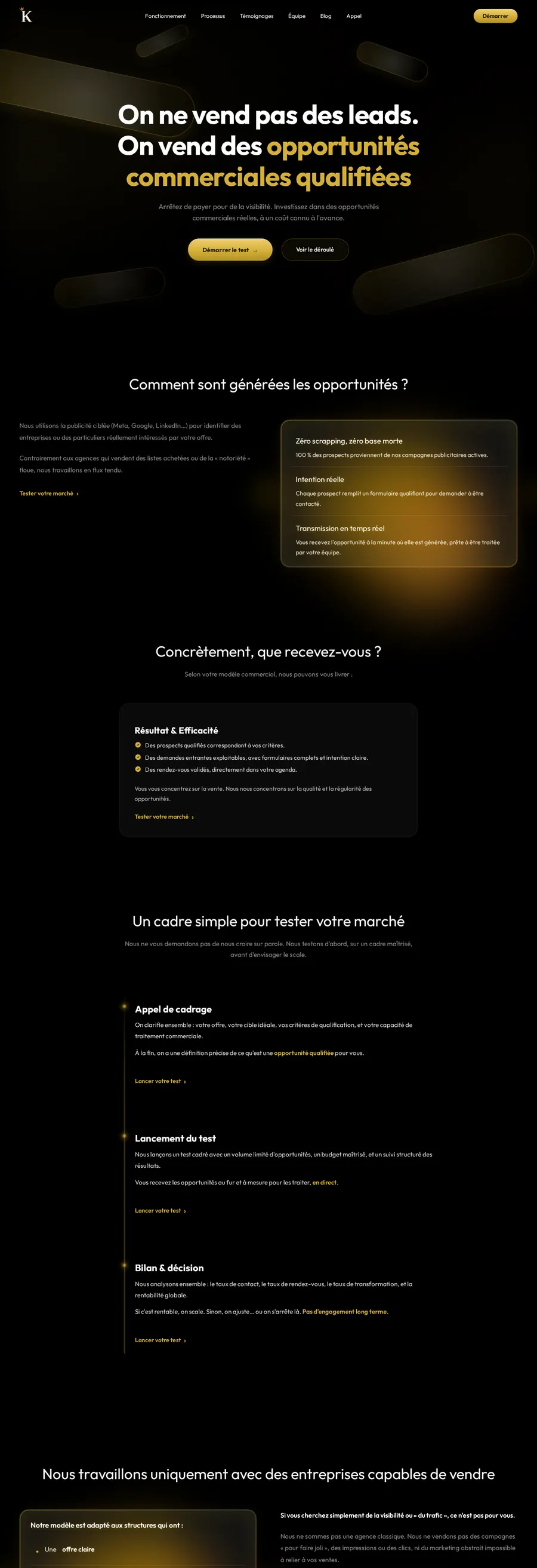 Capture du site KingdomAds · Marketwins